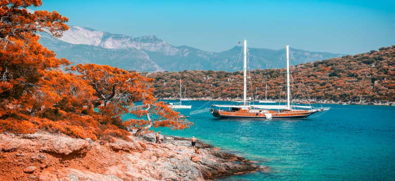 Vacationing couple shocked to find a bear in their hot tub